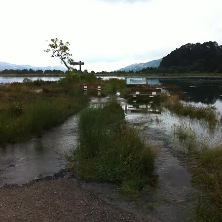 Bolina Guernica y Luno
